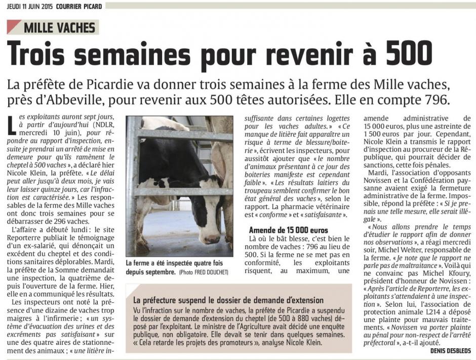 20150611-CP-Drucat-Milles Vaches : trois semaines pour revenir à 500